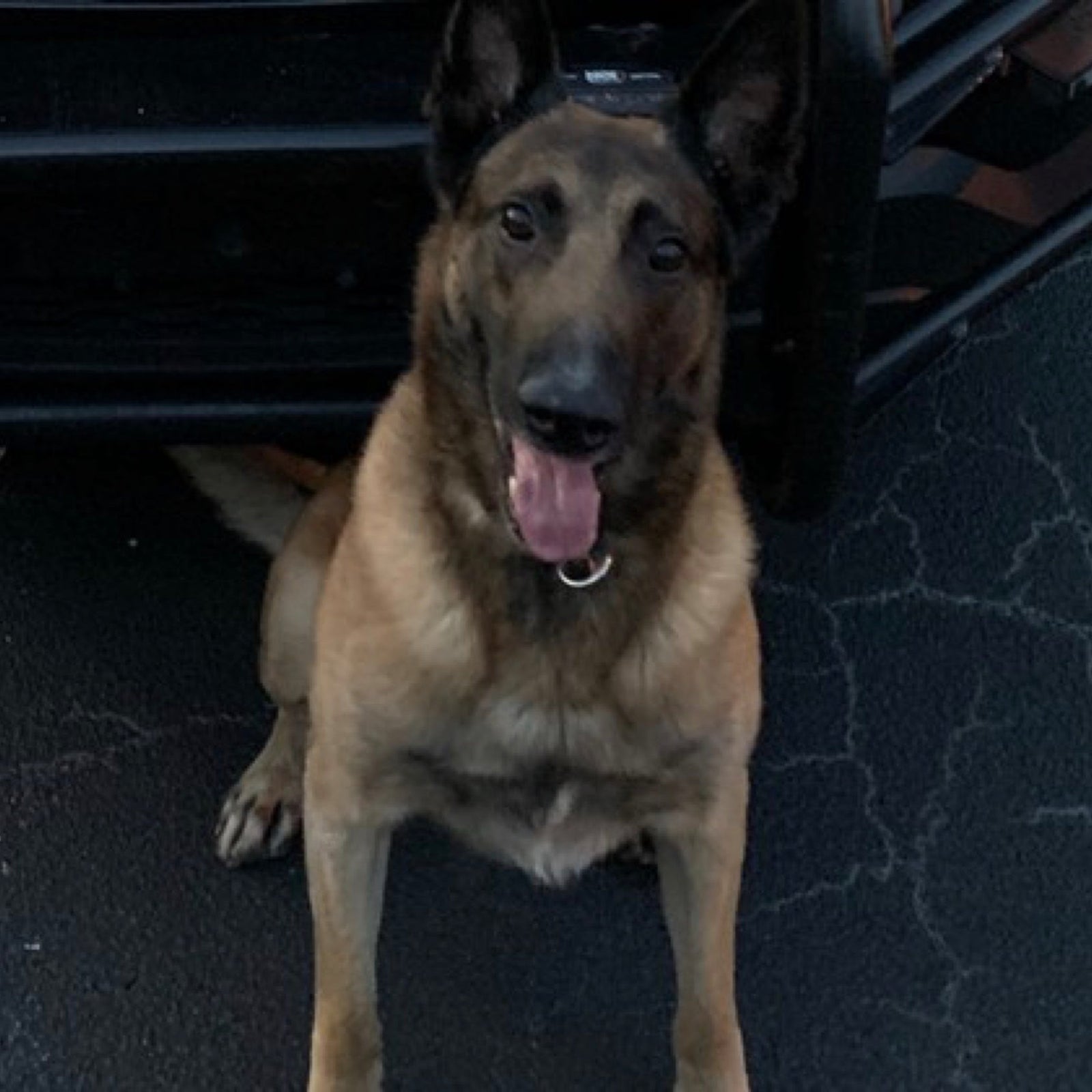 Tactical Gear Australia Product Posts Tacticalgear.Tv Police and Military Vids for your Viewing Pleasure Tactical Gear Australia