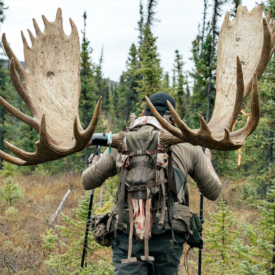 Eberlestock Modframe