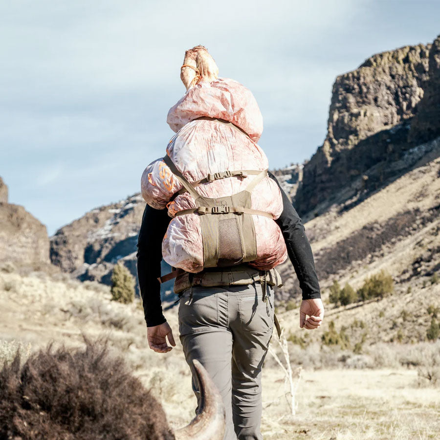 Eberlestock Modframe