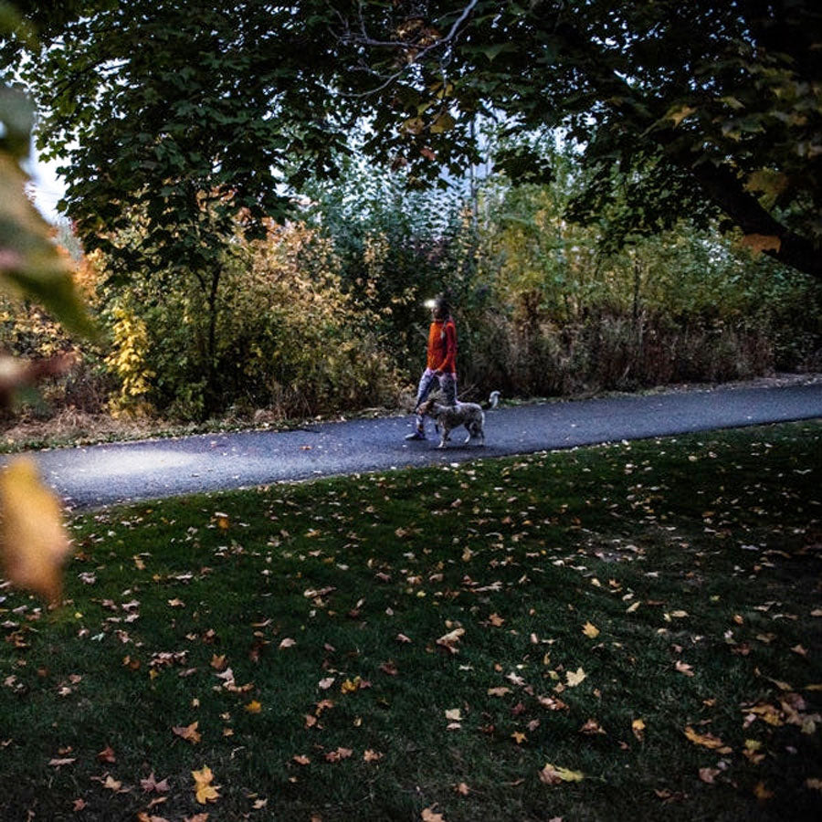 Ledlenser HF4R Core 500 Lumens Rechargeable IP68 Flood & Spot Beam Headlamp Black