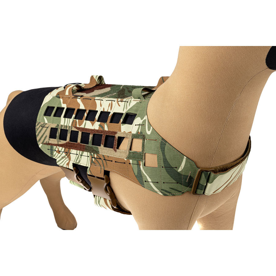 Raptor Tactical K9 Zephyr Dog Harness MK2