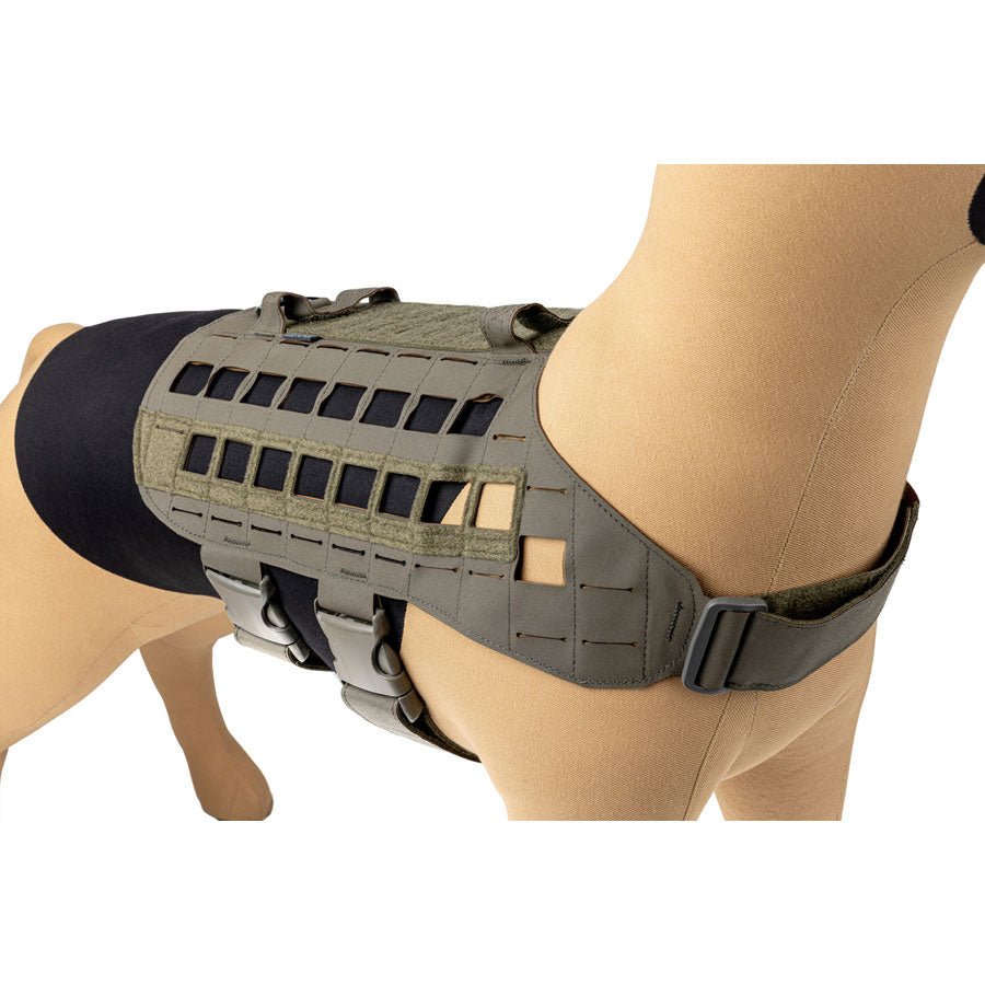 Raptor Tactical K9 Zephyr Dog Harness MK2