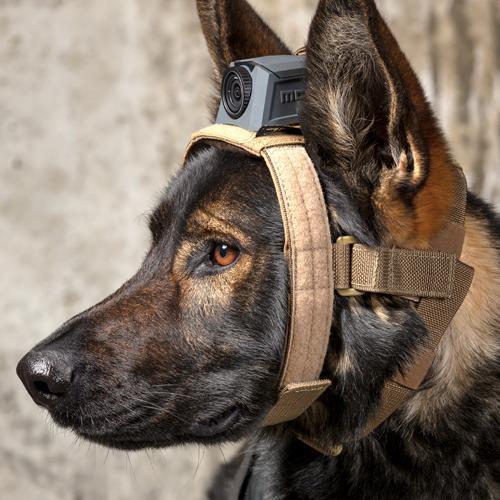 MOHOC K9 Mount Tactical Gear MOHOC Tactical Gear Supplier Tactical Distributors Australia