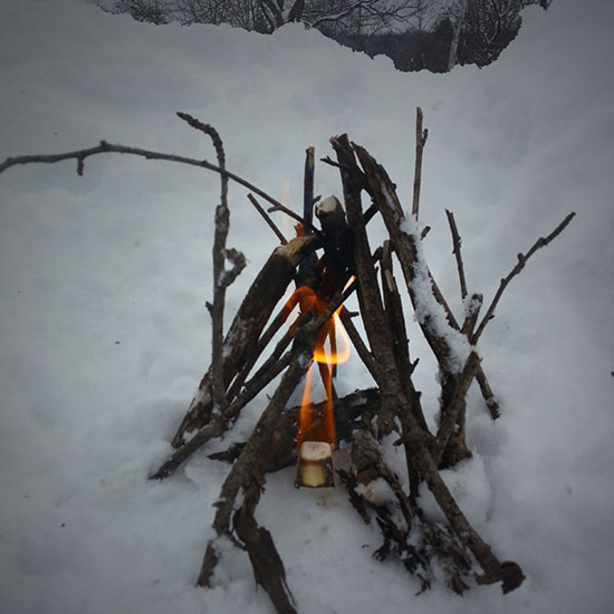 Survive Outdoors Longer SOL All Weather Fire Cubes Outdoor and Survival Survive Outdoors Longer Tactical Gear Supplier Tactical Distributors Australia