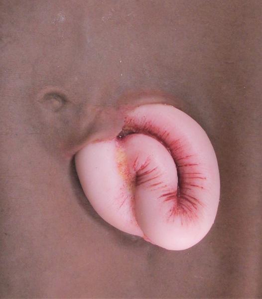 Wearable Wounds Evisceration Training Gear Tech Line Trauma Dark Skin Tactical Gear Supplier Tactical Distributors Australia