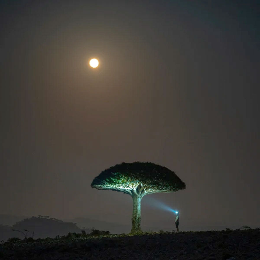 Ledlenser HF6R Signature 1000 Lumens Rechargeable IP68 Digital Advanced Focus RGB Headlamp