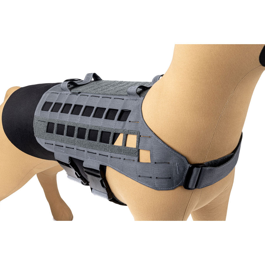Raptor Tactical K9 Zephyr Dog Harness MK2