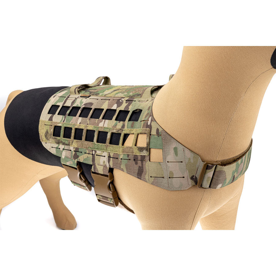 Raptor Tactical K9 Zephyr Dog Harness MK2