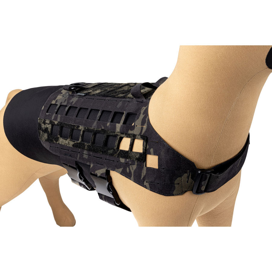 Raptor Tactical K9 Zephyr Dog Harness MK2