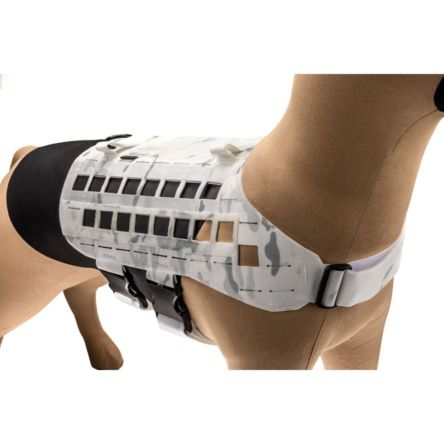 Raptor Tactical K9 Zephyr Dog Harness MK2