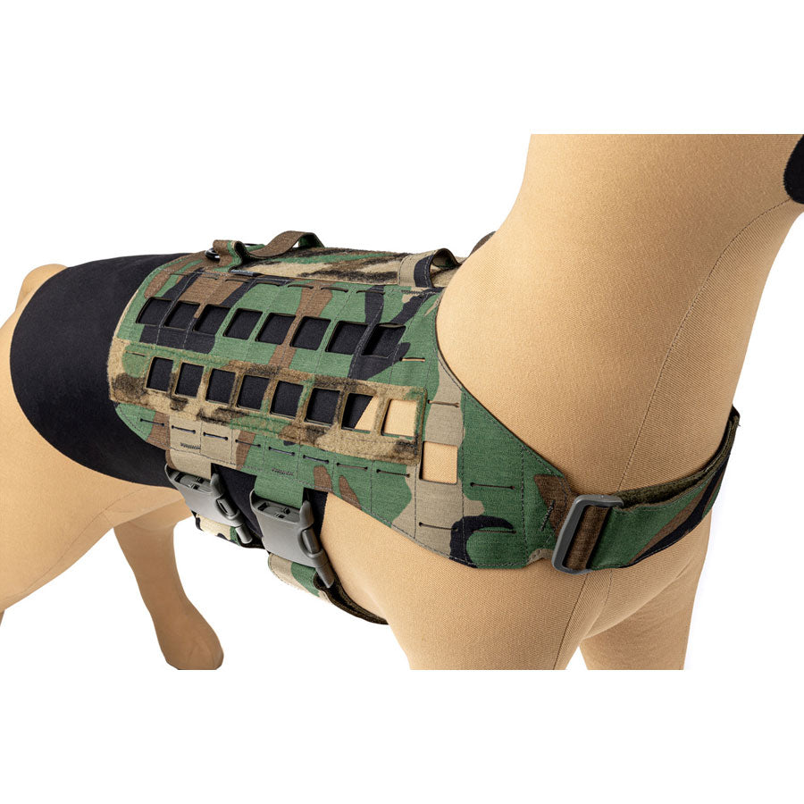 Raptor Tactical K9 Zephyr Dog Harness MK2