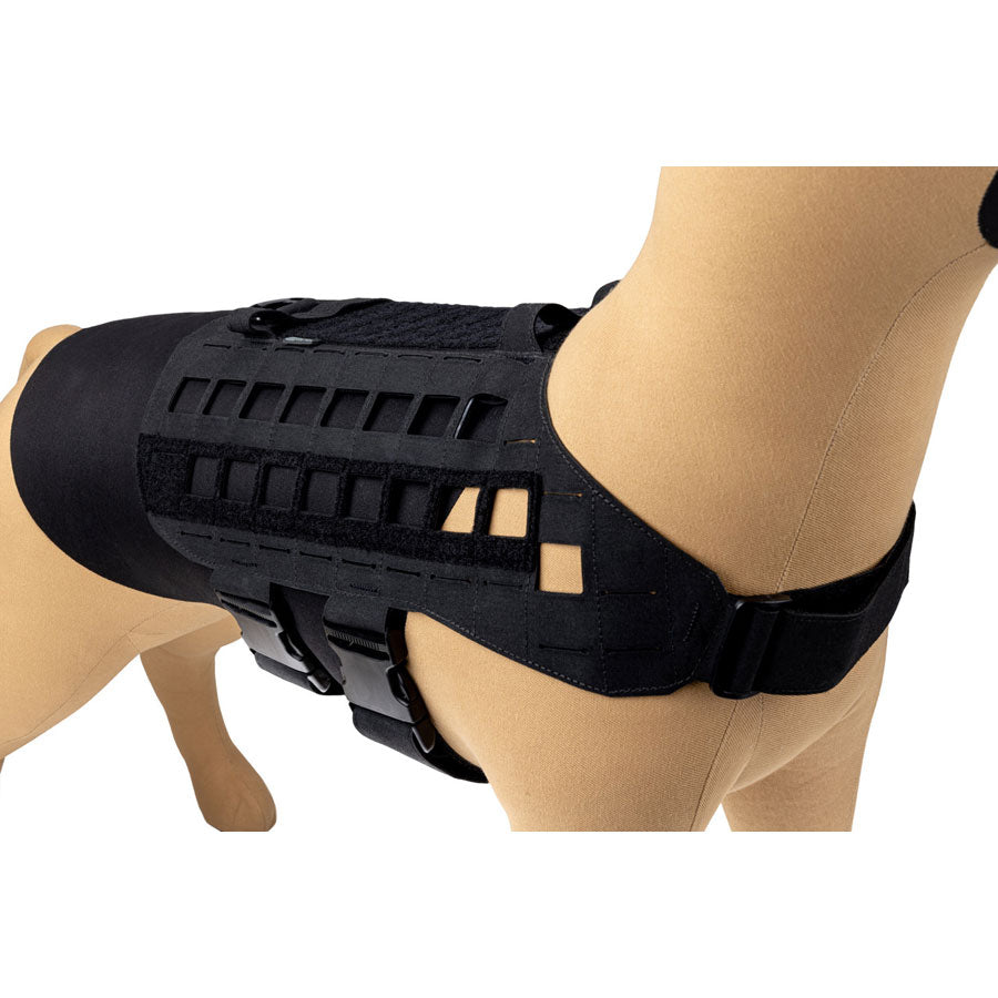 Raptor Tactical K9 Zephyr Dog Harness MK2