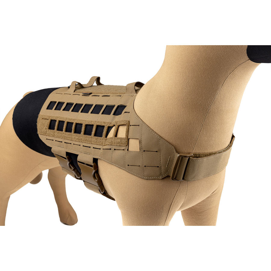 Raptor Tactical K9 Zephyr Dog Harness MK2