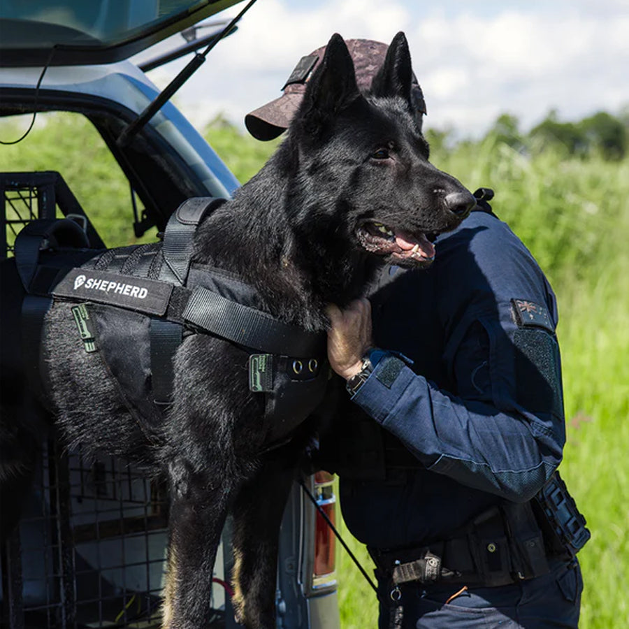 Shepherd Tactical Dog Harness with Cooling Pads