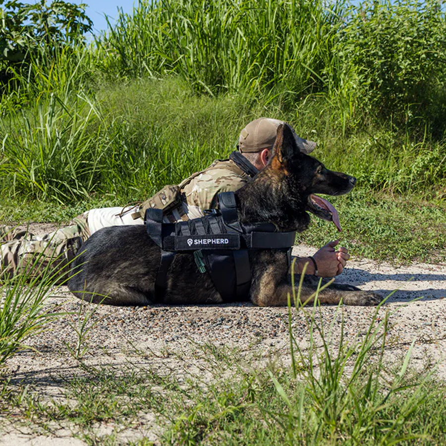 Shepherd Tactical Dog Harness with Cooling Pads