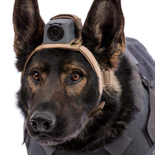 MOHOC K9 Mount Tactical Gear MOHOC Tactical Gear Supplier Tactical Distributors Australia