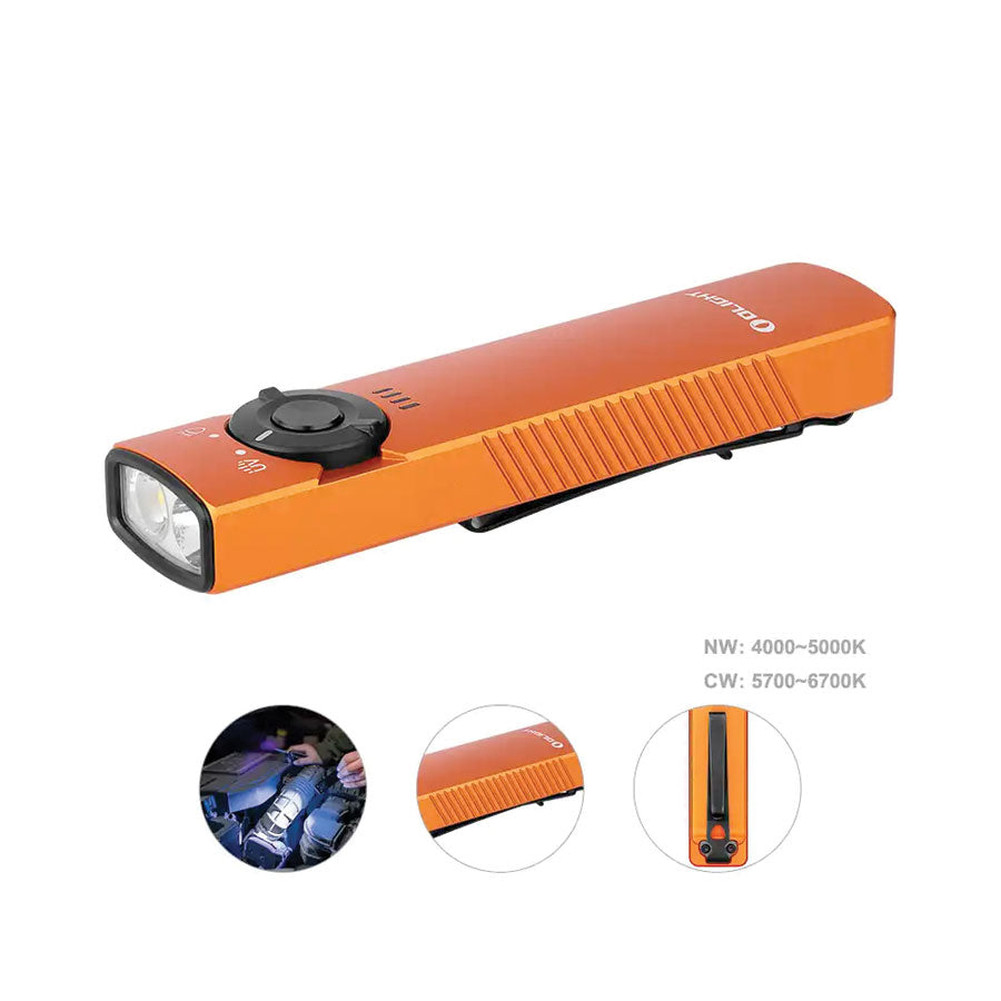 Olight Arkfeld UV Lampe EDC avec Éclairage Ultraviolet Lumière Blanche Olight Arkfeld UV Lampe EDC avec Éclairage Ultraviolet Lumière Blanche