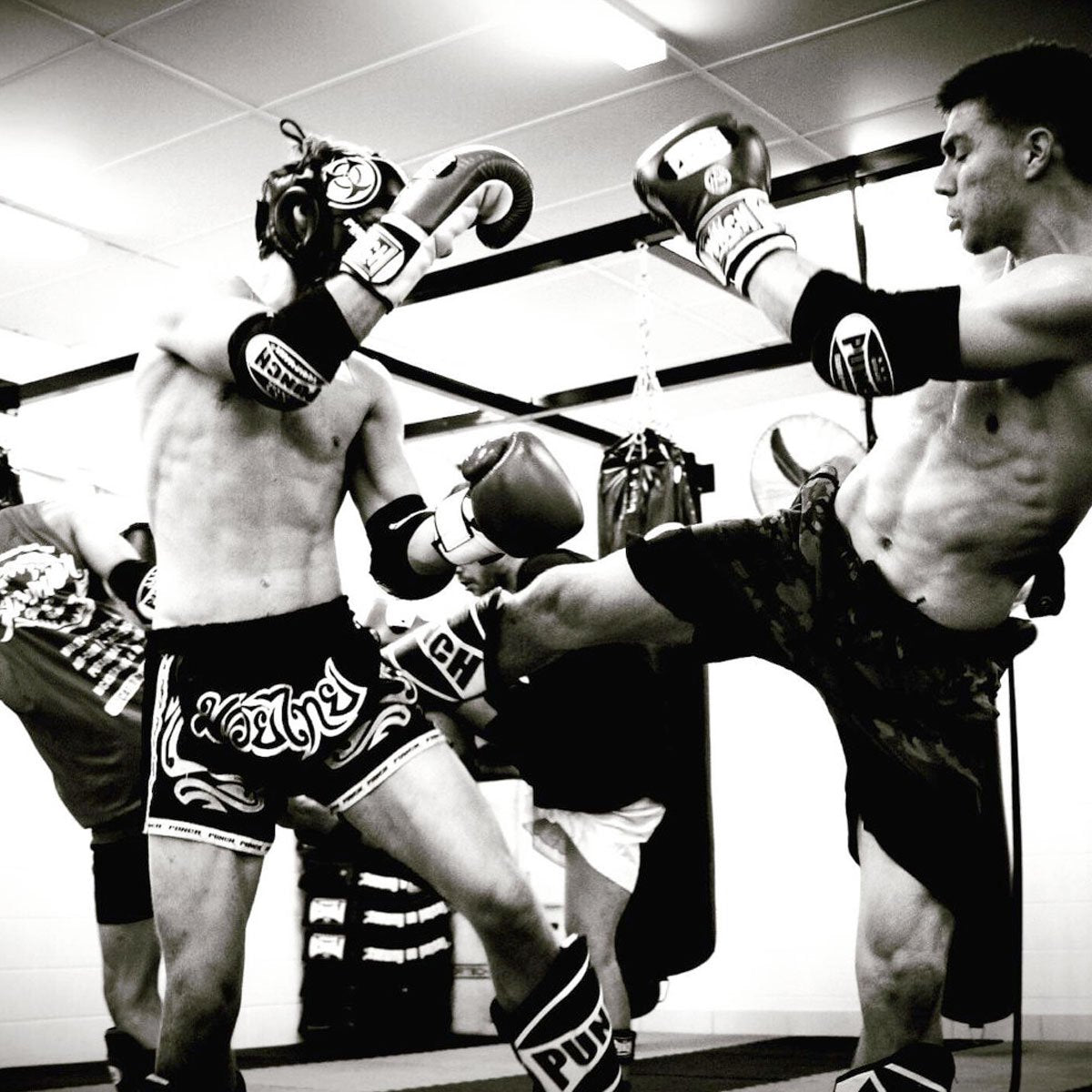 Punch Equipment Punch Muay Thai Elbow Pads Training Gear Punch Equipment Tactical Gear Supplier Tactical Distributors Australia
