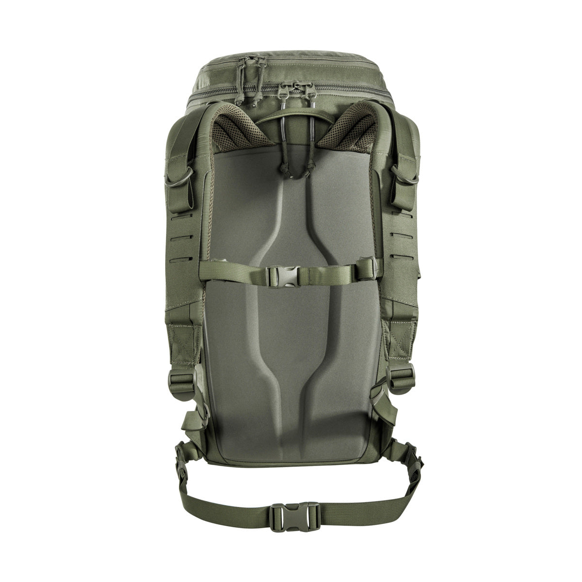 Tasmanian Tiger TT Companion 30 Daypack 30L Bags, Packs and Cases Tasmanian Tiger Tactical Gear Supplier Tactical Distributors Australia