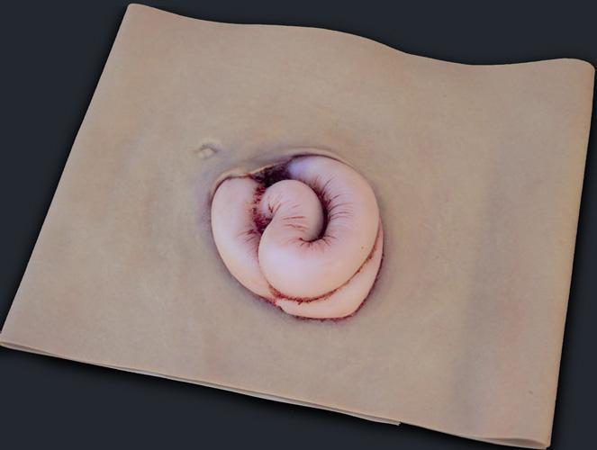 Wearable Wounds Evisceration Training Gear Tech Line Trauma Tactical Gear Supplier Tactical Distributors Australia